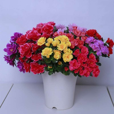 24PCS Flower heads  Azalea Artificial Flower Wedding Home Party Decoration